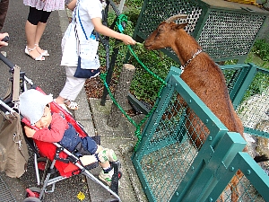DSC00671.JPGtou.jpg