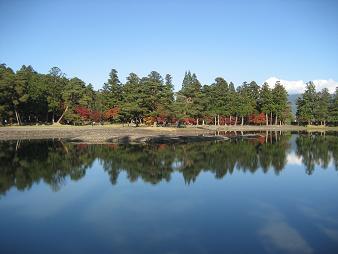 毛越寺.JPG