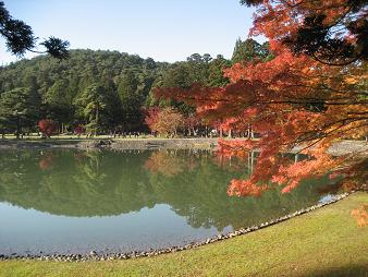 毛越寺　４.JPG