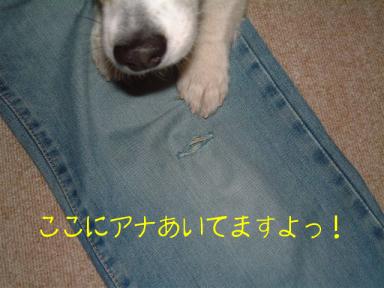 ここです！