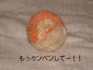 こんな姿に…　
