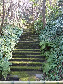 苔階段