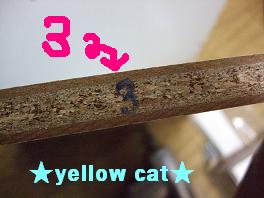2008_11070007.JPG