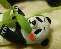 pannda2