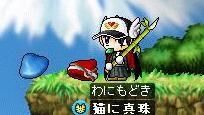 どうせ・・