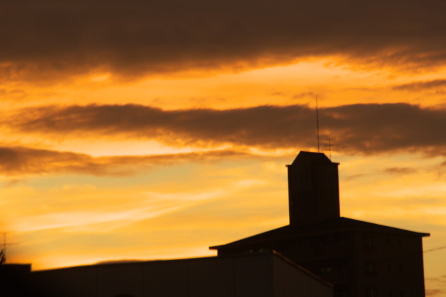 黄金色の夕日