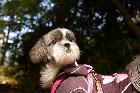 港の見える丘公園2