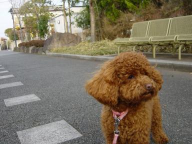 遊歩道