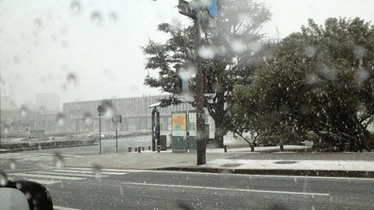 平和公園も雪