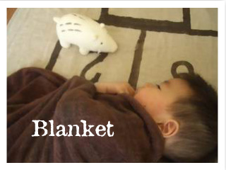 blanketのコピー.jpg