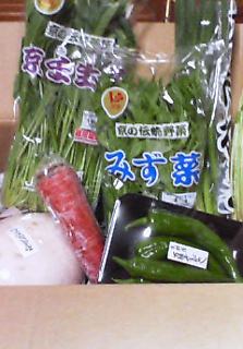 当選品　京野菜