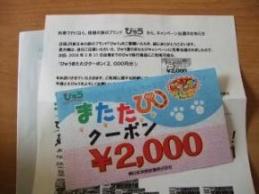 10/25 またたびクーポン2,000円分