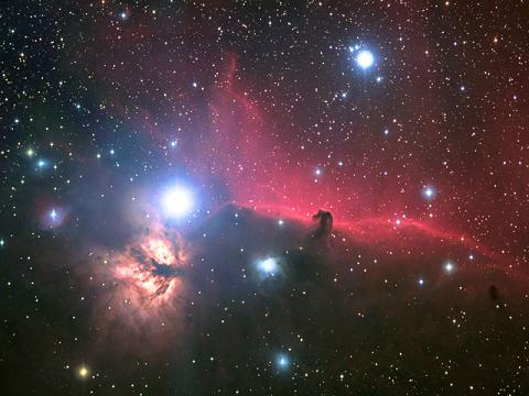 Orion's Horsehead Nebula