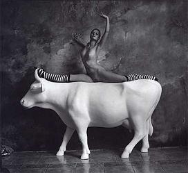 Cow - Ballerina　2004年作品