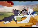 Tom & Jerry 16