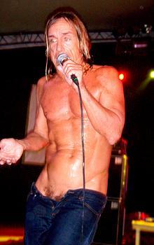 Iggy Pop 2