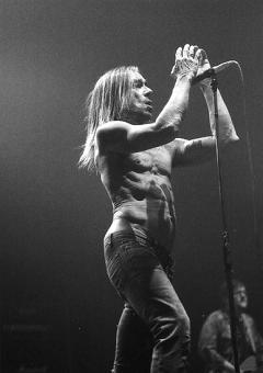 Iggy Pop 9