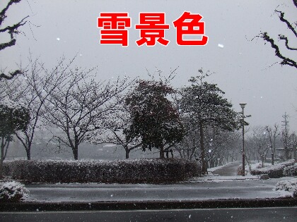 雪景色