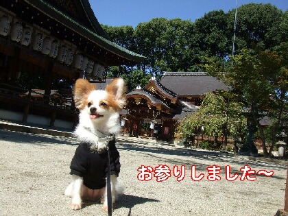 神社。.jpg