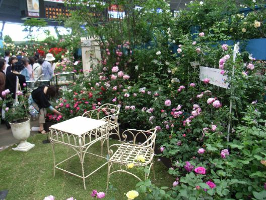 国際バラ展風景