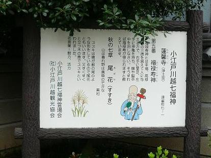 ７福神