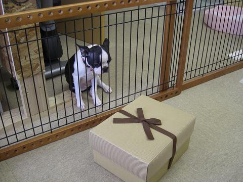 で、これはﾅﾇ?