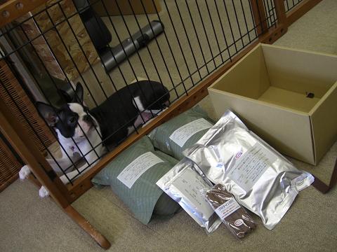 だからコレなんでつか？