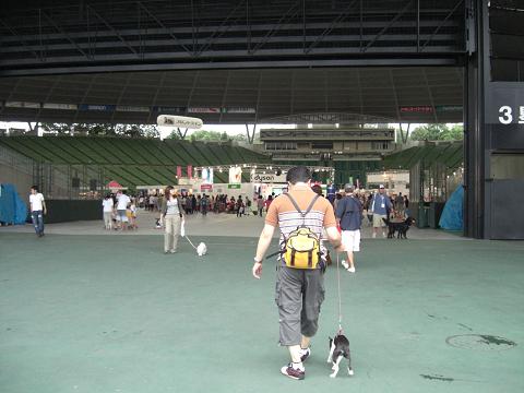 いよいよドーム内へ