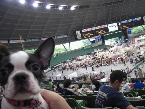 つかれたのら～