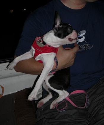 しゃちょ、飲み過ぎでちゅお