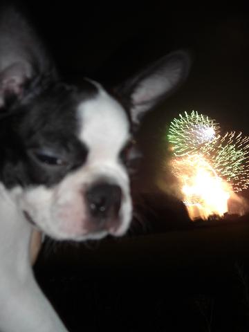 おっきい音でつね