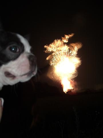 うるちゃいでつ