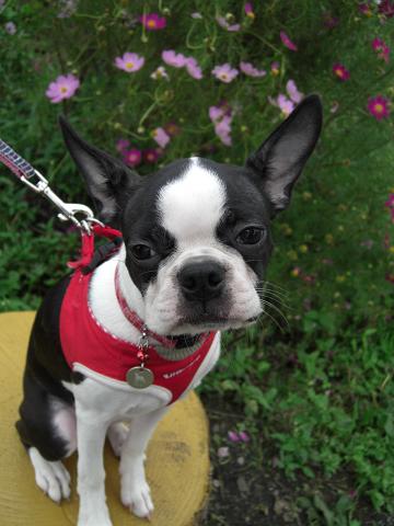 つかれてねむいのにぃ