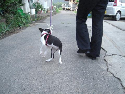 おっ?行けるかな?