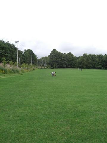 奥に八ヶ岳があるはず…