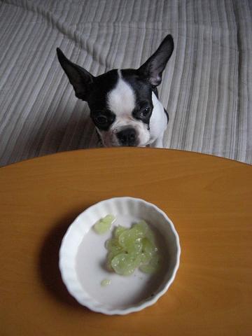 どれがどれだか???