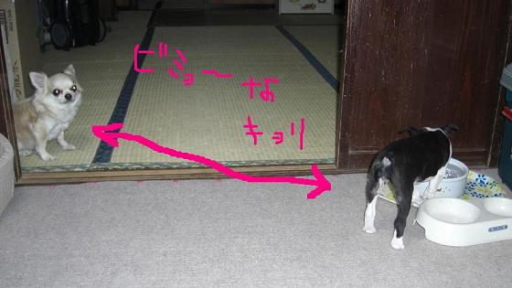 ﾋﾞﾐｮ～