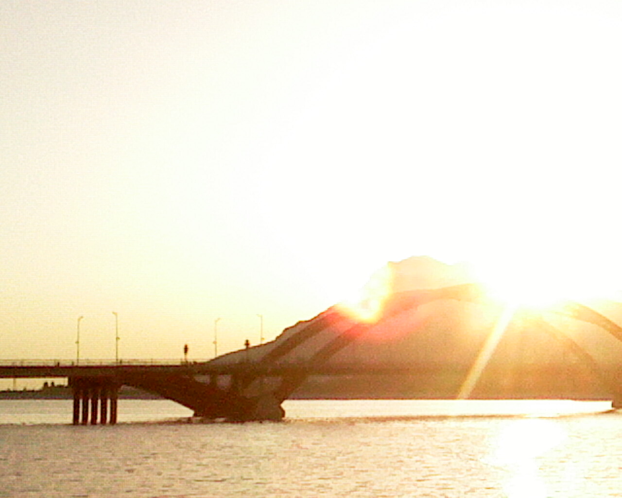 IMG0058A.jpg