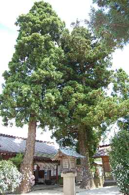 八重垣神社