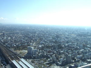 シティタワー43-3