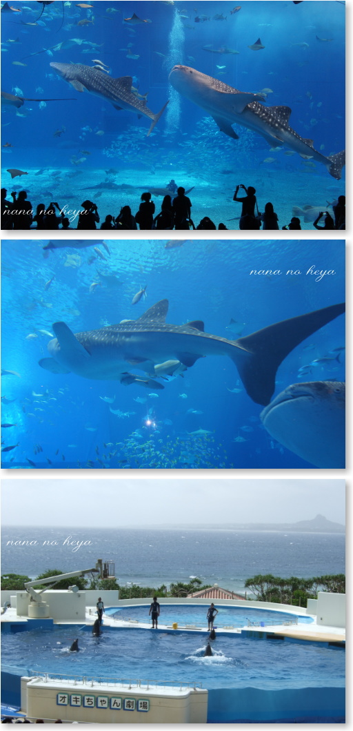 沖縄　美ら海水族館