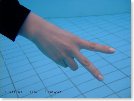 ディカパックアルファ　防水カメラケース