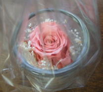 プリザーブドフラワー ミニアレンジ