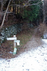 20100119110.jpg