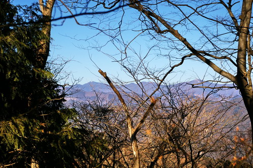 20100119096.jpg