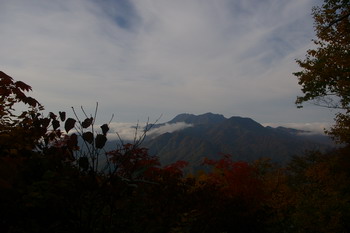 D20081009043.jpg