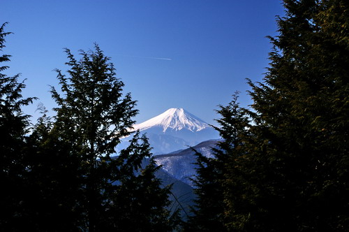 20100119083.jpg