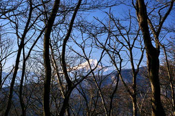 20100119080.jpg