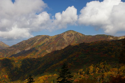 D20081009070.jpg