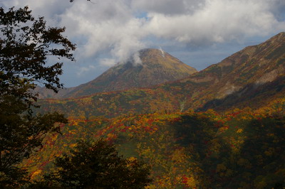 D20081009071.jpg